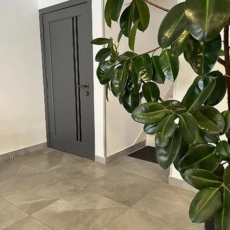 Hotel Loft Wood Mukacheve