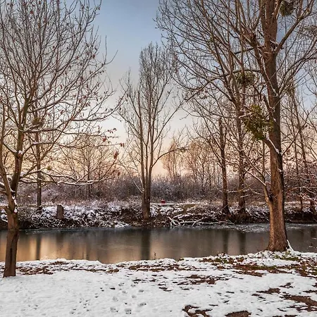 Hotel Loft Wood Mukacheve