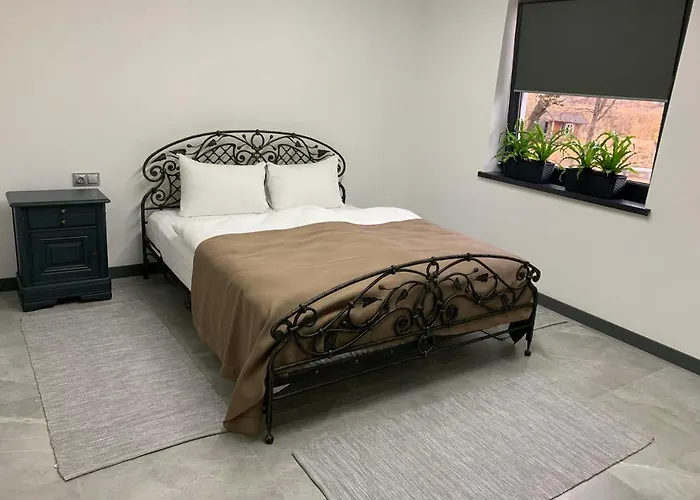 Otel Loft Wood Mukaçeve