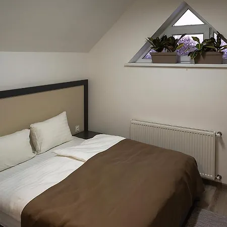 Loft Wood * Mukačevo